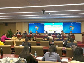 海淀区信息公开大厅信息系统运行维护服务 保障政务透明与高效运转的关键支撑